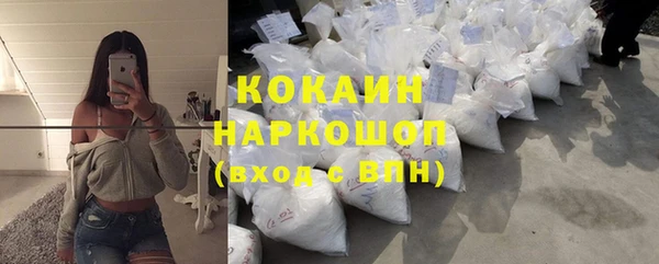 дживик Арсеньев