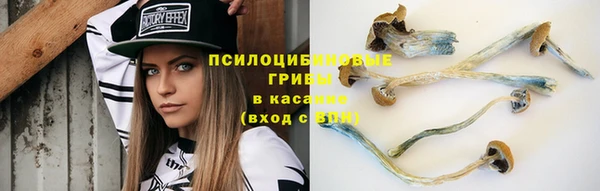 дживик Арсеньев