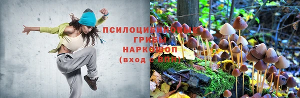 дживик Арсеньев