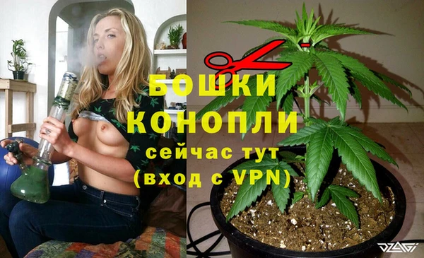 дживик Арсеньев